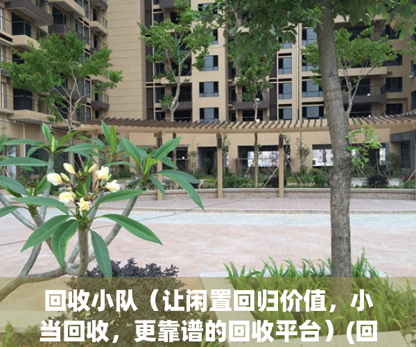 回收小队（让闲置回归价值，小当回收，更靠谱的回收平台）(回收战队全文阅读)