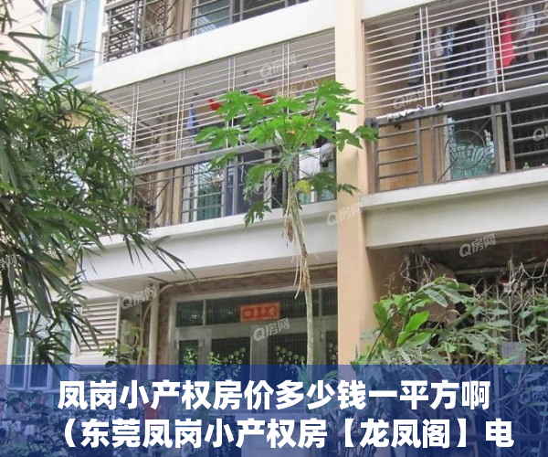 凤岗小产权房价多少钱一平方啊（东莞凤岗小产权房【龙凤阁】电梯洋房最新开盘 沃尔玛1公里）