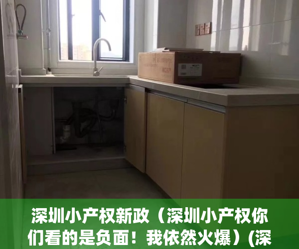 深圳小产权新政（深圳小产权你们看的是负面！我依然火爆）(深圳小产权的政策)