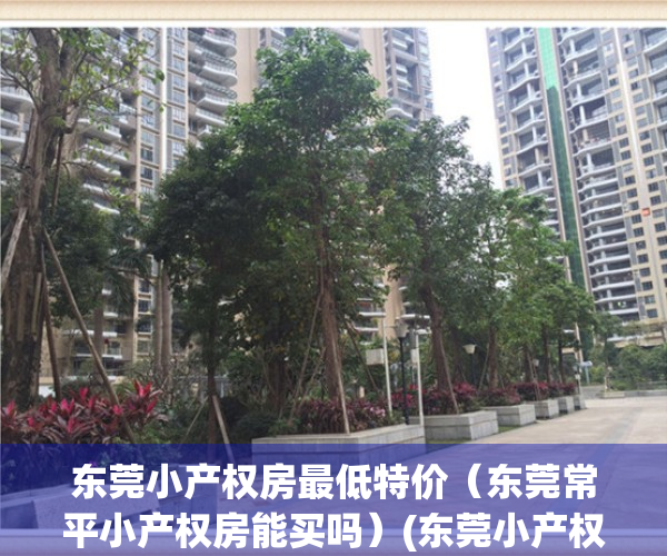 东莞小产权房最低特价（东莞常平小产权房能买吗）(东莞小产权房 2020出售)