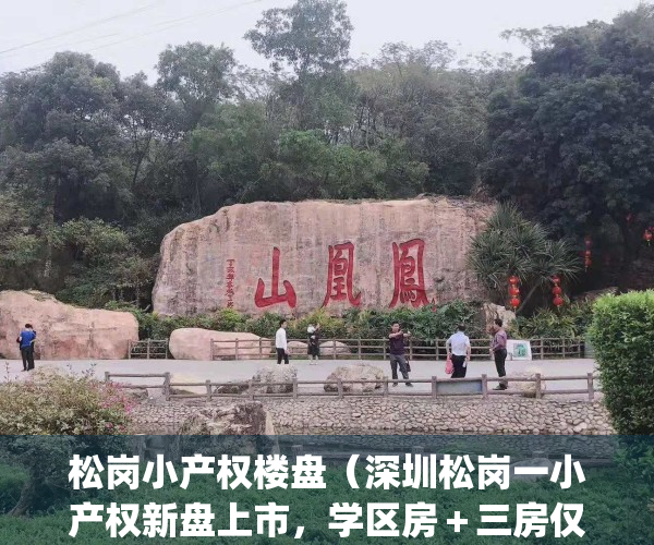 松岗小产权楼盘（深圳松岗一小产权新盘上市，学区房＋三房仅76万8）(2020年松岗村委小产权新楼盘)