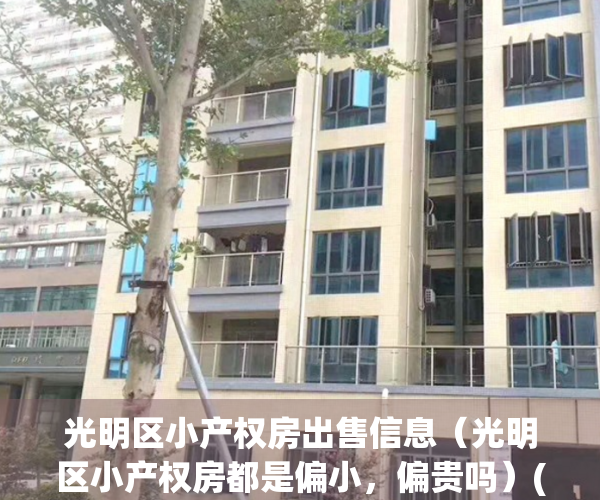 光明区小产权房出售信息（光明区小产权房都是偏小，偏贵吗）(光明小产权房光明区政府干涉买卖)