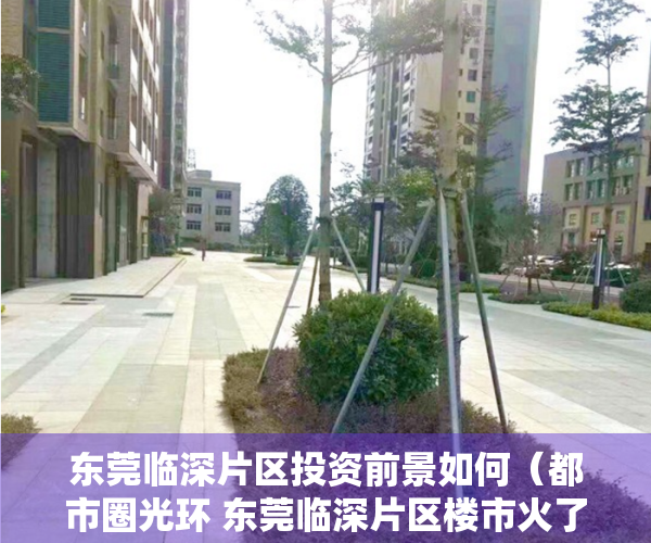 东莞临深片区投资前景如何（都市圈光环 东莞临深片区楼市火了？）