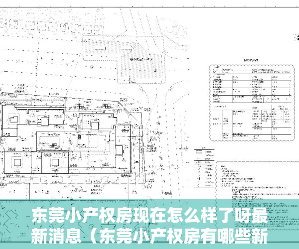 东莞小产权房现在怎么样了呀最新消息（东莞小产权房有哪些新的规定）