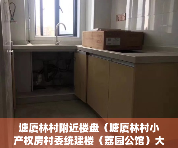 塘厦林村附近楼盘（塘厦林村小产权房村委统建楼（荔园公馆）大阳台自带大型停车场）