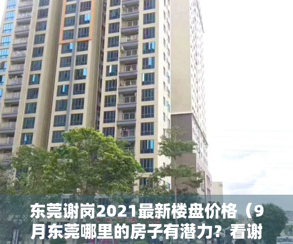 东莞谢岗2021最新楼盘价格（9月东莞哪里的房子有潜力？看谢岗谢岗房价走势）