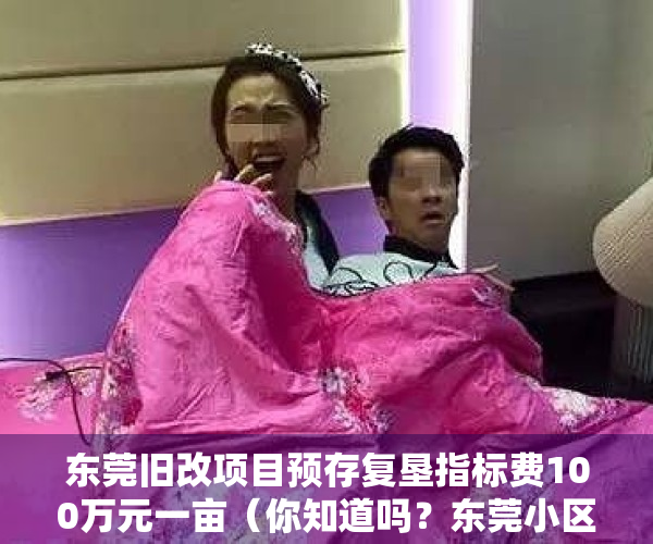 东莞旧改项目预存复垦指标费100万元一亩（你知道吗？东莞小区配套园要被回收，办成公办或非营利性幼儿园）