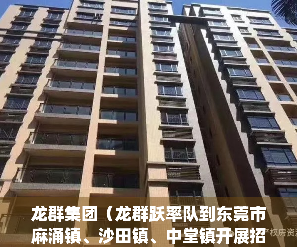 龙群集团（龙群跃率队到东莞市麻涌镇、沙田镇、中堂镇开展招商考察）(龙群贸易有限公司怎么样)