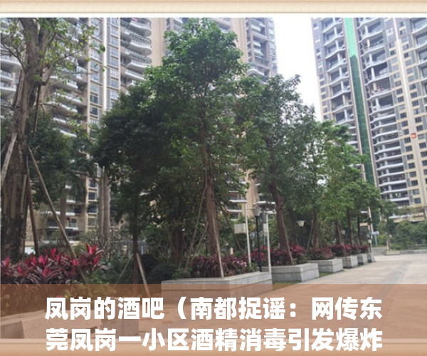 凤岗的酒吧（南都捉谣：网传东莞凤岗一小区酒精消毒引发爆炸，假的）(东莞市凤岗镇h酒吧)