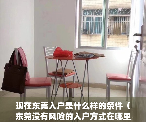 现在东莞入户是什么样的条件（东莞没有风险的入户方式在哪里？）(东莞最新入户政策调整)