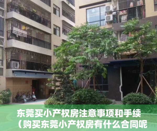 东莞买小产权房注意事项和手续（购买东莞小产权房有什么合同呢？需要注意什么呢？深度解析！）