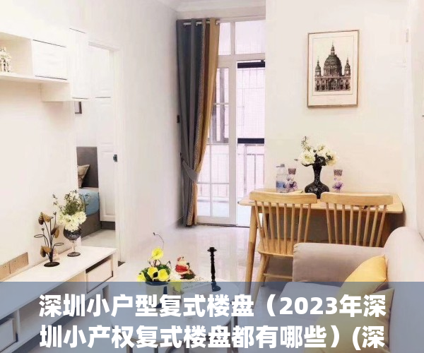 深圳小户型复式楼盘（2023年深圳小产权复式楼盘都有哪些）(深圳小产权复式房出售)