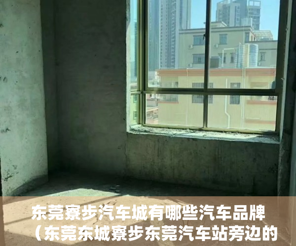 东莞寮步汽车城有哪些汽车品牌（东莞东城寮步东莞汽车站旁边的小产权房）