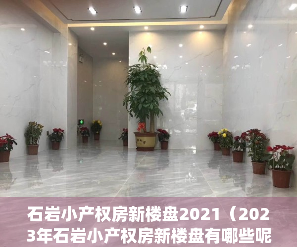 石岩小产权房新楼盘2021（2023年石岩小产权房新楼盘有哪些呢）(深圳石岩小产权房子有保障吗)