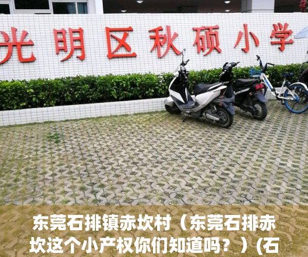 东莞石排镇赤坎村（东莞石排赤坎这个小产权你们知道吗？）(石排赤坎村邮政编码)