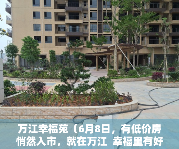 万江幸福苑（6月8日，有低价房悄然入市，就在万江  幸福里有好房）