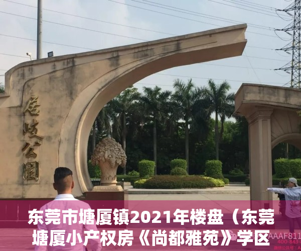 东莞市塘厦镇2021年楼盘（东莞塘厦小产权房《尚都雅苑》学区房潜力无限4200元疯抢价）