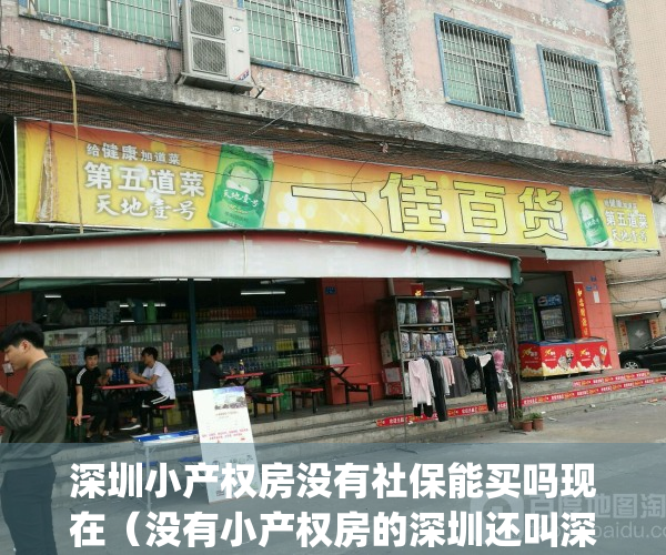 深圳小产权房没有社保能买吗现在（没有小产权房的深圳还叫深圳吗）(深圳小产权房没有房产证)