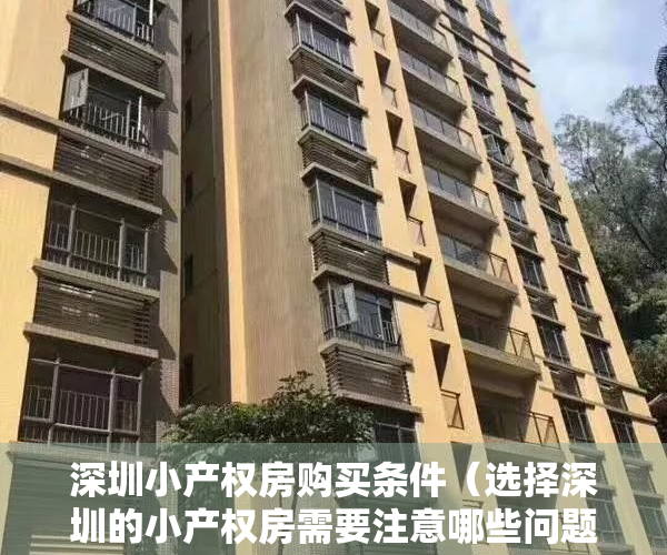 深圳小产权房购买条件（选择深圳的小产权房需要注意哪些问题？-华盟地产）