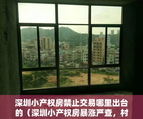 深圳小产权房禁止交易哪里出台的（深圳小产权房暴涨严查，村委已停止过户。）