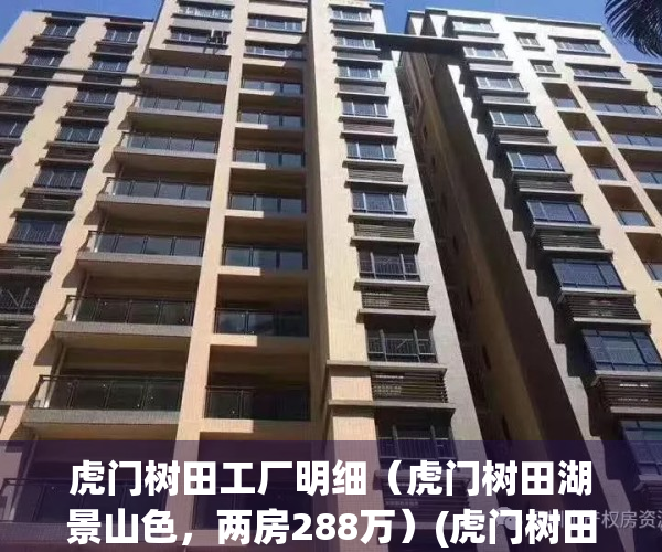 虎门树田工厂明细（虎门树田湖景山色，两房288万）(虎门树田有没有工资高的厂)
