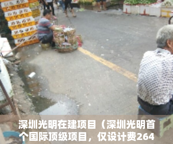 深圳光明在建项目（深圳光明首个国际顶级项目，仅设计费2649万！周边小产权房一览）