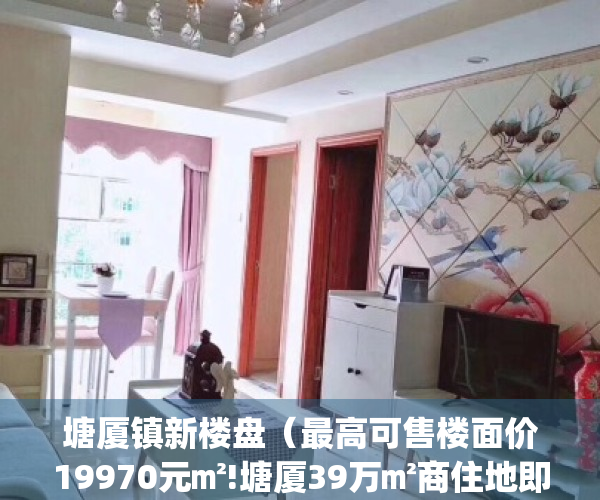塘厦镇新楼盘（最高可售楼面价19970元㎡!塘厦39万㎡商住地即将出让）(塘厦有哪些楼盘在售)