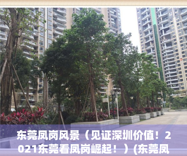 东莞凤岗风景（见证深圳价值！2021东莞看凤岗崛起！）(东莞凤岗风景区)