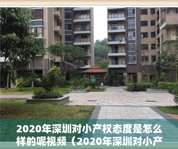 2020年深圳对小产权态度是怎么样的呢视频（2020年深圳对小产权态度是怎么样的呢？）