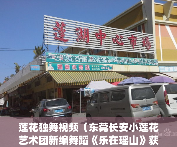 莲花独舞视频（东莞长安小莲花艺术团新编舞蹈《乐在瑶山》获好评）(莲花舞蹈群舞)