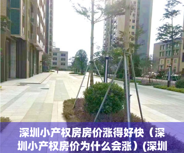 深圳小产权房房价涨得好快（深圳小产权房价为什么会涨）(深圳小产权爆涨)