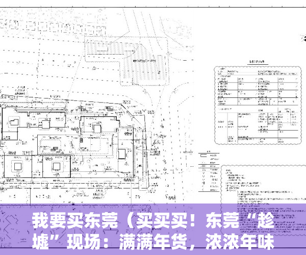 我要买东莞（买买买！东莞“趁墟”现场：满满年货，浓浓年味）