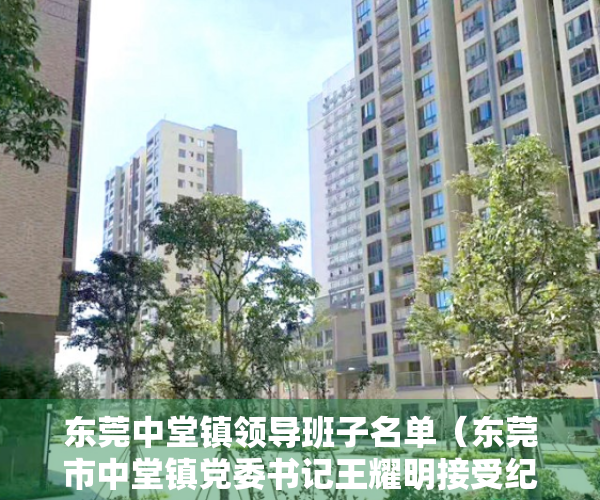 东莞中堂镇领导班子名单（东莞市中堂镇党委书记王耀明接受纪律审查和监察调查）