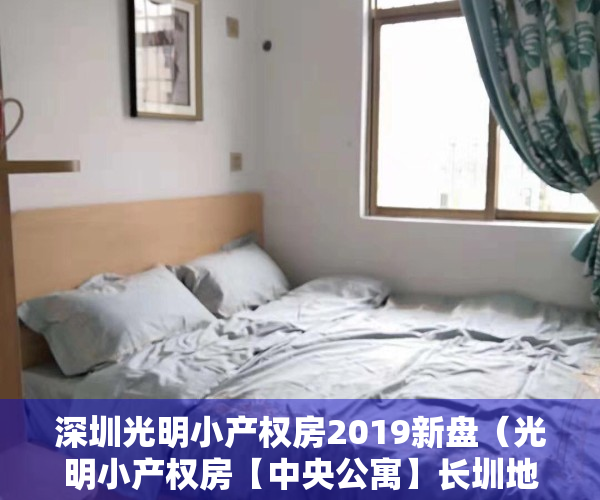 深圳光明小产权房2019新盘（光明小产权房【中央公寓】长圳地铁口 精装两房488万套起）