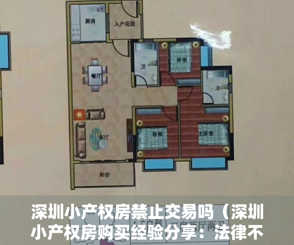 深圳小产权房禁止交易吗（深圳小产权房购买经验分享：法律不允许买卖仅供大家了解其中风险）