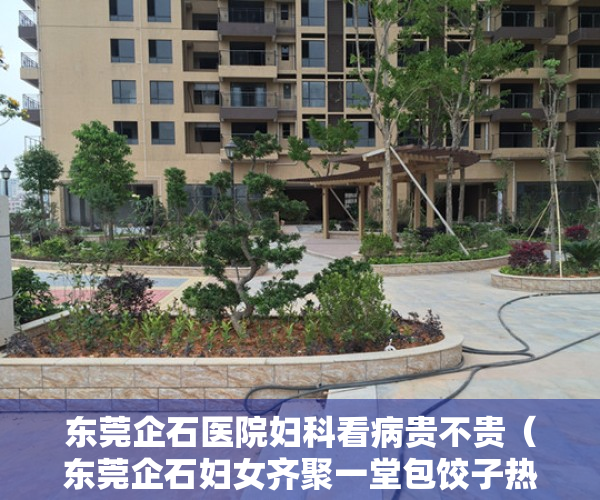 东莞企石医院妇科看病贵不贵（东莞企石妇女齐聚一堂包饺子热热闹闹过“小年”）