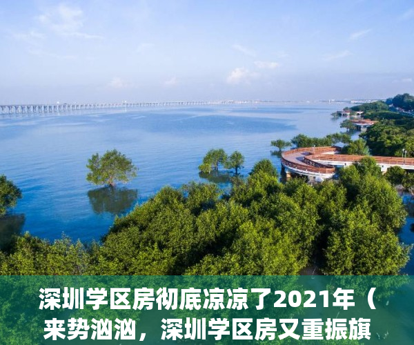 深圳学区房彻底凉凉了2021年（来势汹汹，深圳学区房又重振旗鼓了）(“王炸”!深圳放大招,学区房这次彻底要凉?)