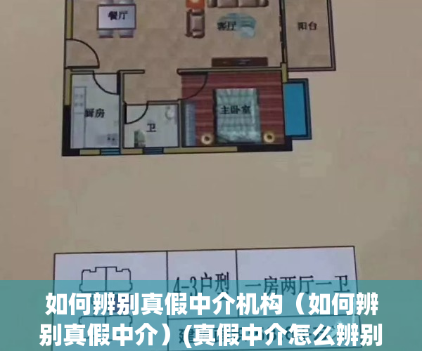 如何辨别真假中介机构（如何辨别真假中介）(真假中介怎么辨别)