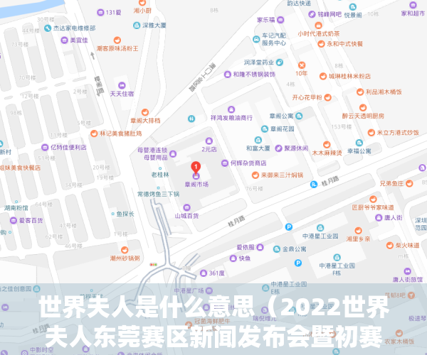 世界夫人是什么意思（2022世界夫人东莞赛区新闻发布会暨初赛在东莞塘厦举行）