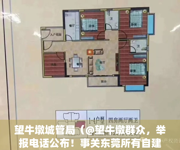 望牛墩城管局（@望牛墩群众，举报电话公布！事关东莞所有自建房）(东莞市望牛墩城管执法局局长)