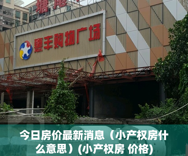 今日房价最新消息（小产权房什么意思）(小产权房 价格)