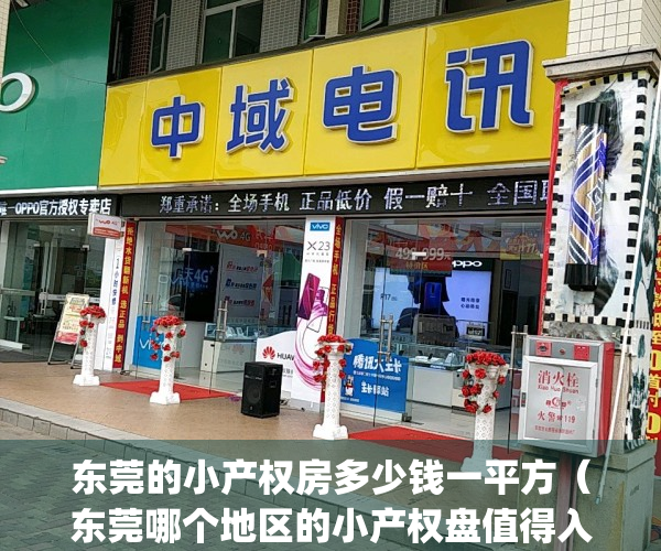 东莞的小产权房多少钱一平方（东莞哪个地区的小产权盘值得入手？）(东莞小产权房价格多少)