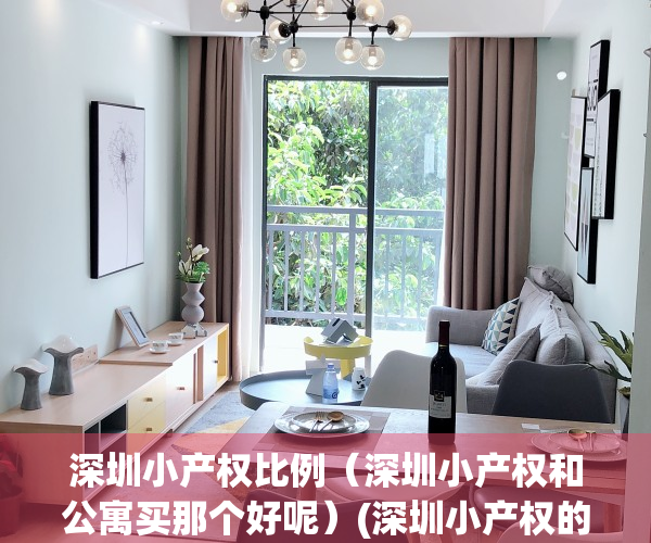 深圳小产权比例（深圳小产权和公寓买那个好呢）(深圳小产权的公摊面积是多少)