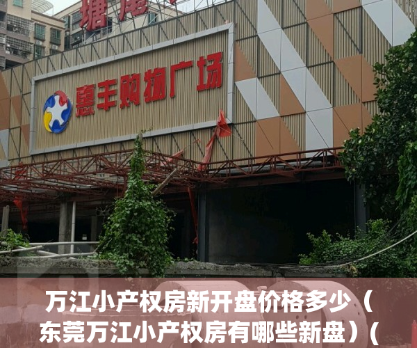 万江小产权房新开盘价格多少（东莞万江小产权房有哪些新盘）(万江小产权哪里有)