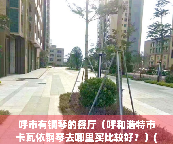 呼市有钢琴的餐厅（呼和浩特市卡瓦依钢琴去哪里买比较好？）(呼和浩特有钢琴的饭店)