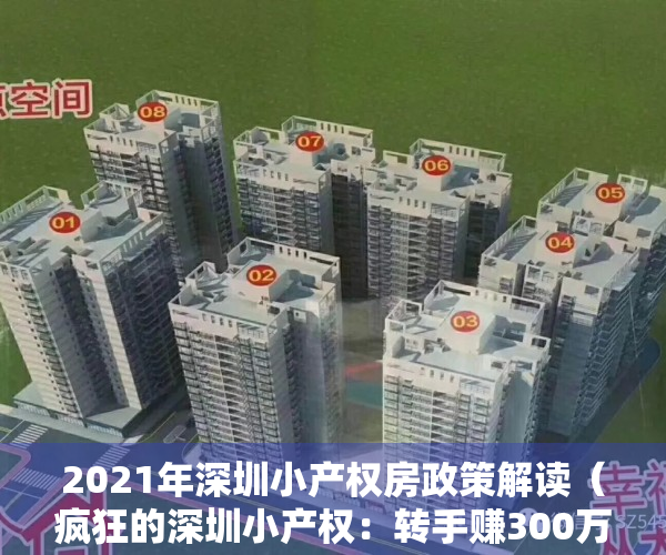2021年深圳小产权房政策解读（疯狂的深圳小产权：转手赚300万、年涨22%、香港客扫15套……）