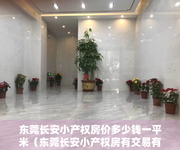 东莞长安小产权房价多少钱一平米（东莞长安小产权房有交易有保障吗？）