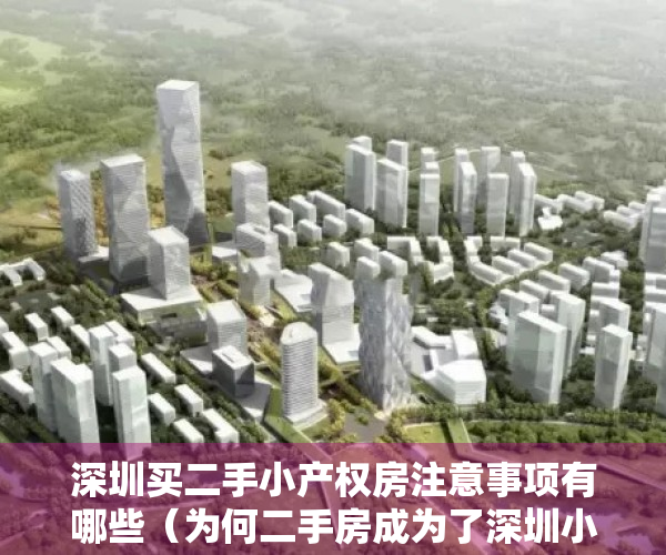 深圳买二手小产权房注意事项有哪些（为何二手房成为了深圳小产权房的第一个选择呢？）