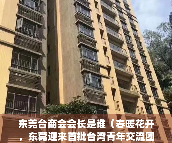 东莞台商会会长是谁（春暖花开，东莞迎来首批台湾青年交流团组）(东莞台商会会长名单)
