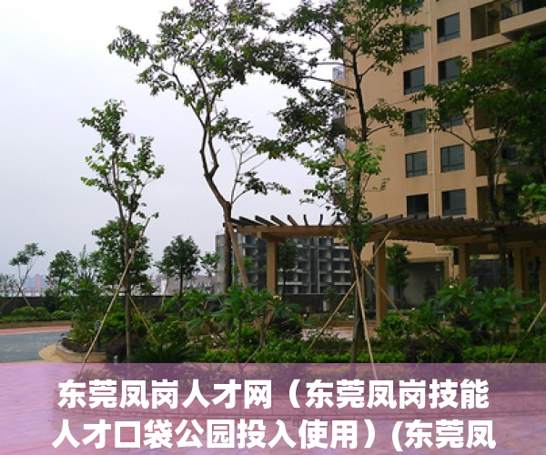 东莞凤岗人才网（东莞凤岗技能人才口袋公园投入使用）(东莞凤岗人才市场现场招聘)